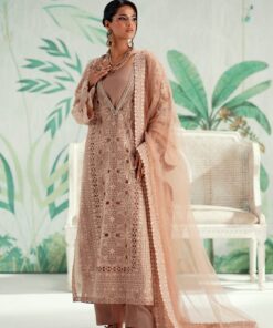 Embroidered Organza Suit