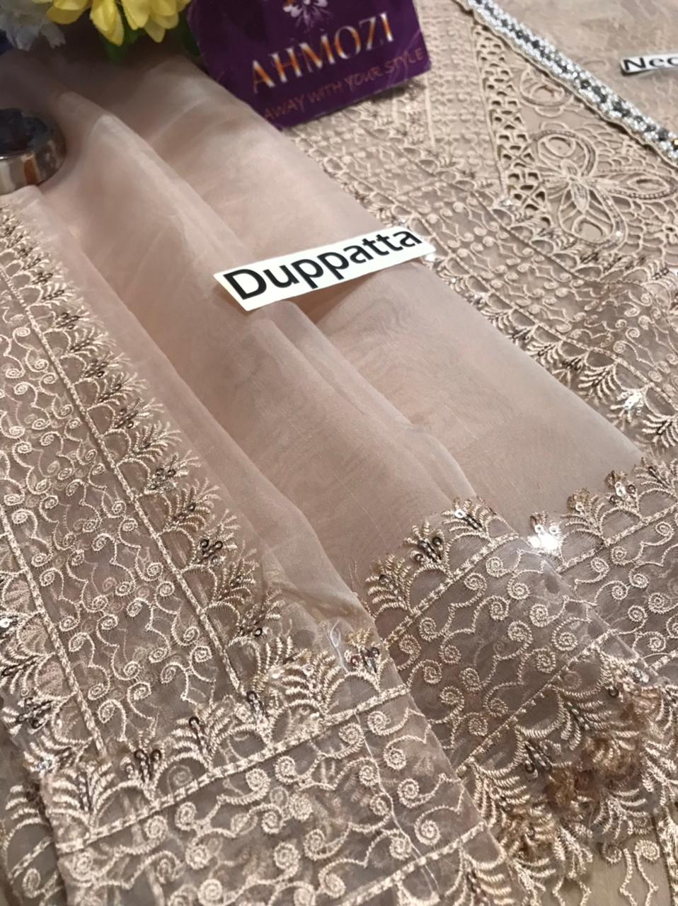 Embroidered Organza Suit - Image 10