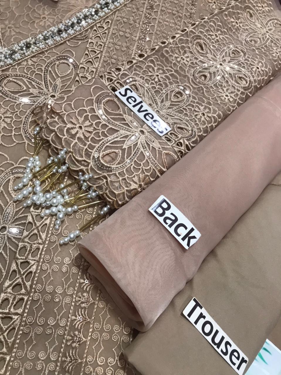 Embroidered Organza Suit - Image 11